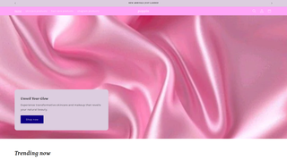Thumbnail of poppintn.org