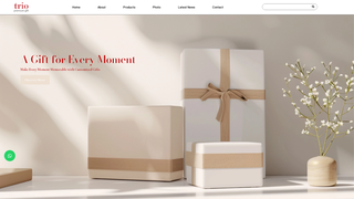 Thumbnail of triogift.com