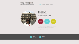 Thumbnail of tinglei.org