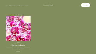 Thumbnail of mavourneentravels.com