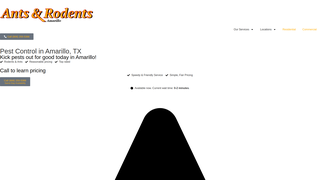 Thumbnail of antsrodentsamarillo.com