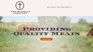 Thumbnail of theoverlincompany.com