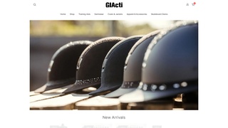 Thumbnail of getintheactionstore.com