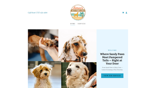 Thumbnail of thesaltypaws.com