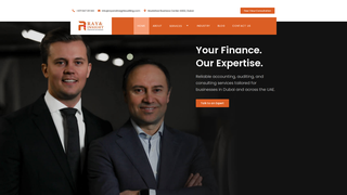 Thumbnail of rayandinsightauditing.com