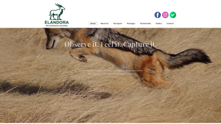 Thumbnail of elandorawilderness.com