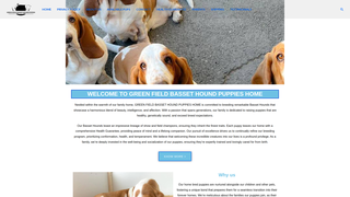 Thumbnail of greenfieldbassets.com