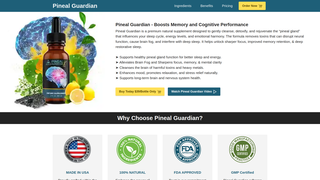 Thumbnail of pinealguarrdian.com