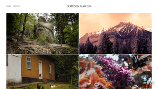 Thumbnail of dominikgawlik.com