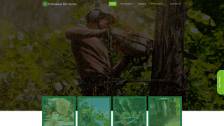 Thumbnail of professionaltreeserviceidaho.com