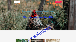 Thumbnail of palmera-animalhealth.com