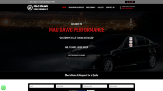 Thumbnail of maddawgperformance.com