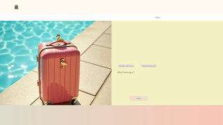 Thumbnail of flamingofamilyfinds.com
