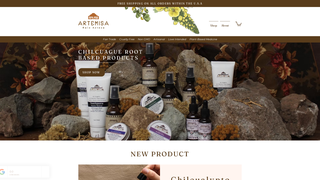 Thumbnail of artemisaraizazteca.com