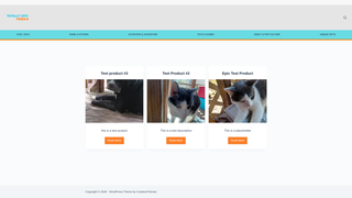 Thumbnail of totallyepicfinds.com