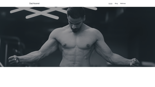 Thumbnail of dadascend.com
