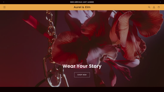 Thumbnail of aurelelm.com