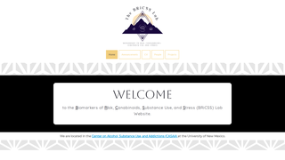 Thumbnail of bricsslab.com