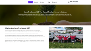 Thumbnail of treeremovalservicemadison.com