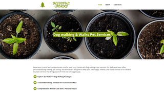 Thumbnail of blissfulwalks.com