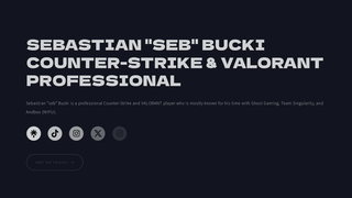Thumbnail of sebbucki.com