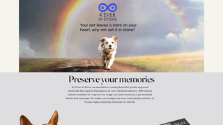Thumbnail of 4everinstone.com