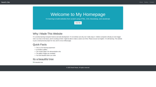 Thumbnail of hasannavid.com