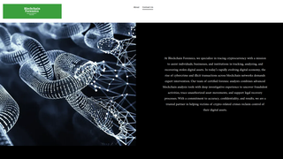 Thumbnail of blockforensic.net