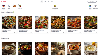 Thumbnail of usebrim.com