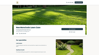 Thumbnail of noelawncare.com