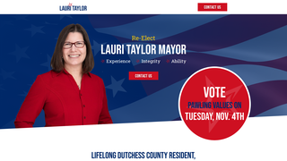 Thumbnail of taylor4pawling.com