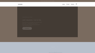 Thumbnail of racoonie.com