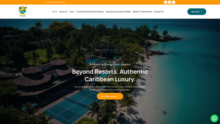 Thumbnail of sonnytours.com