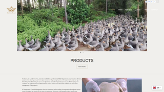 Thumbnail of latinlande.com