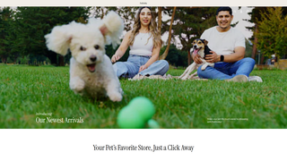 Thumbnail of thepethobby.com