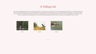 Thumbnail of birdscape.net