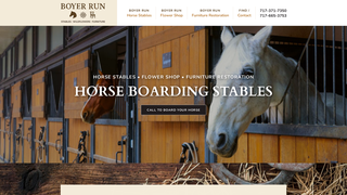 Thumbnail of boyerrunservices.com