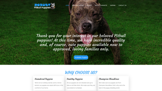 Thumbnail of robustpitbullpuppies.com