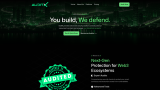 Thumbnail of auditx.net