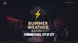 Thumbnail of bummerweatheragency.com