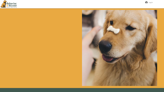 Thumbnail of behaviorandbeyonddogtraining.com