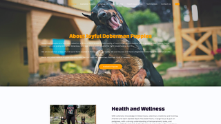 Thumbnail of joyfuldobermanpuppies.com