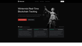 Thumbnail of wintermist.net
