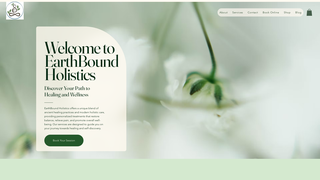 Thumbnail of ebholistics.com
