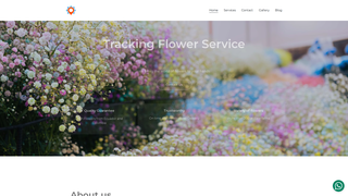 website thumbnail