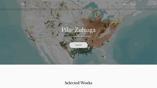 Thumbnail of pilarzuluaga.com