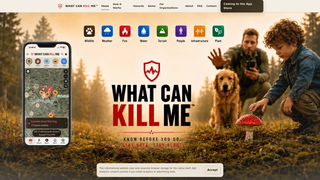 Site preview