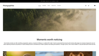 Thumbnail of photographilse.com