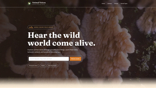 Site preview