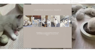 Thumbnail of ragdollyanna.com
